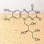 Un polymère pour mieux conserver la bière ?