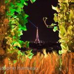Brasseurs des Champs par Heineken (Portfolio)