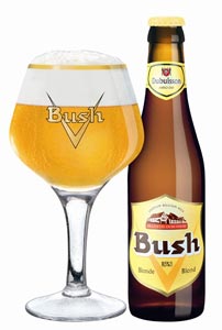 Le verre et la bouteille de Bush Blonde 33cl
