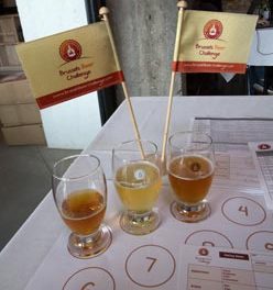 Les résultats du 3e Brussels Beer Challenge donnent à réfléchir