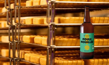 Maroilles et bière artisanale : une love story terroir