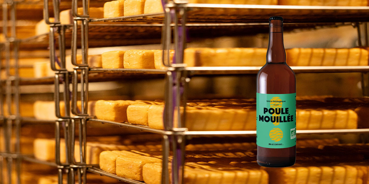 Maroilles et bière artisanale : une love story terroir