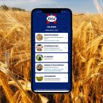1664 Blonde 100% orge responsable pour 2026