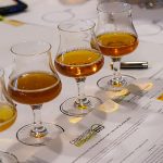 Challenge Millésime Bio 2026 : la bière bio cherche encore son rythme de croisière