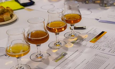 Challenge Millésime Bio 2026 : la bière bio cherche encore son rythme de croisière